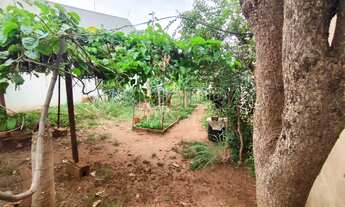 Imagem 2: Terreno Plano 160m² à venda no bairro Jardim Ouro Branco