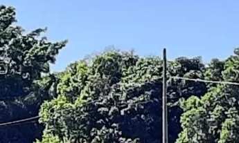 Imagem 6: Lote/Terreno - Chácaras Di Carvalho, Uberaba