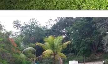 Imagem 5: Chácara de 16.000m² em Cambuci-Rj