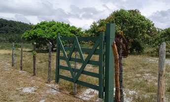 Imagem: Vendo lotes no Povoado Flexeiras em Santo