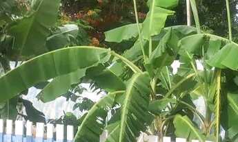 Imagem 7: Chácara Mirassol