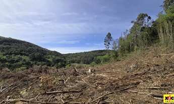 Imagem 4: Sítio / Chácara para Venda em Nova Petrópolis, Linha Gonçalves Dias