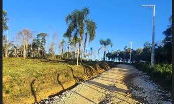 Imagem: Chacara belas Áreas Roseira Colombo/ Campina