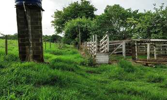 Imagem 3: Sítio bom para abacate ,café ,milho,gado