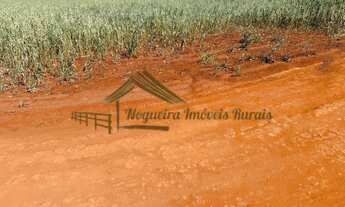 Imagem 3: Sitio com 3,5 alqueires em Tatuí-SP