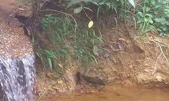 Imagem 4: Lote Rural Palmas 5 km IFTO Pega carro