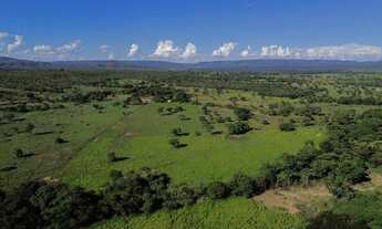 Imagem 3: FAZENDA DE 52 HEC DE PORTEIRA FECHADA A 10 KM DE BURITIS - MG