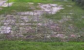 Imagem: Suíte 25m² Mobiliada - 15 Minutos de Manaus