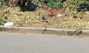 Imagem: Terreno 800 mts Jaraguá