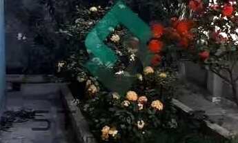 Imagem 2: Higienópolis Casa com 4 dormitórios