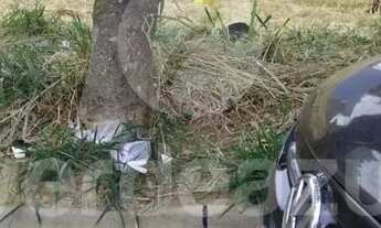 Imagem 4: Terreno à venda no Jardim Ibirapuera em Campinas-SP