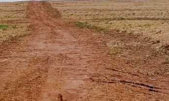 Imagem 4: FAZENDA 40 ALQUEIRES TD EM CANA O MELHOR PRECO DO ESTADOO