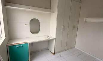 Imagem 4: DAU23// PALMEIRAS IV