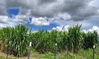Imagem 4: FAZENDA À VENDA OPORTUNIDADE IMPERDÍVEL