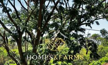 Imagem 7: Fazenda à Venda em Goiás