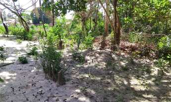 Imagem 4: Terreno no paço do lumiar