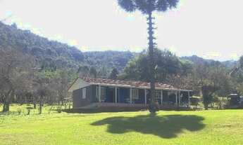 Imagem 7: Sitio Maravilhoso 10 alqueires 50 km Curitiba-PR