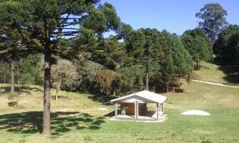 Imagem 6: Sitio Maravilhoso 10 alqueires 50 km Curitiba-PR