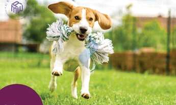 Imagem 7: Excelente Apartamento no Residencial Jaboh em Sorocaba