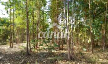 Imagem 3: São Gonçalo do Abaeté - Fazenda - São Gonçalo do Abaté