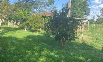 Imagem 6: Chácara no Distrito de Roselandia a 31 km do flamboyant- sentido Bela Vista GO