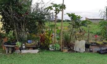 Imagem 7: Terreno Ilha Comprida,vendo ou troco por chácara