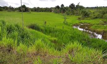 Imagem 1: Vende área rural próximo de Boa Vista