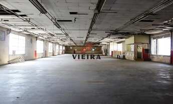 Imagem 5: EXCELENTE GALPÃO!!