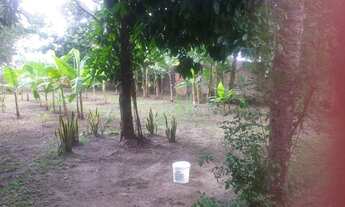 Imagem 3: Terreno em aldeia km 12