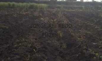 Imagem: Aceita Proposta