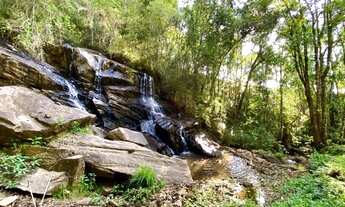 Imagem 7: Magnífico Sítio de 3,63 Hectares, Rico em Água, Beleza e Encantamento!!! Delfim Moreira/MG