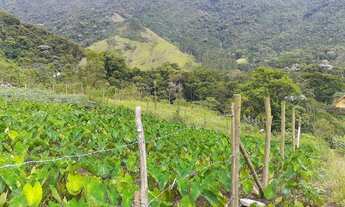 Imagem 4: Terreno a venda na bocaina em São Pedro da serra