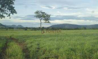 Imagem 8: Fazenda à venda, m² por R$ 110.000.000,00 - Zona Rural - Alvorada do Norte/GO