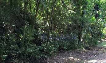 Imagem: Terreno à venda, 1200 m² por R$ 200.000,00