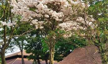 Imagem: Casa sobrado à venda no Brooklin Cidade