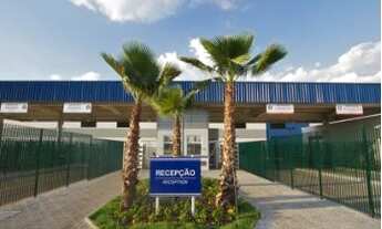 Imagem 4: Galpão - Matão - Campinas