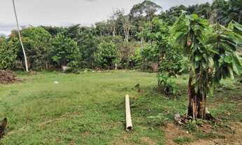 Imagem 2: Sítio Chácara com venda por R$69.000