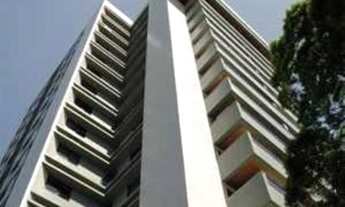 Imagem: Ficus (Pronto