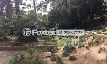 Imagem 6: Porto Alegre - Casa Padrão - Tristeza