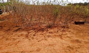 Imagem 2: Chácara Chácara com venda por R$82.000