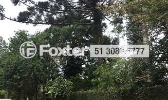 Imagem 2: Porto Alegre - Casa Padrão - Tristeza