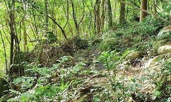 Imagem 5: Terreno à venda, 25426 m² por R$ 1.500.000,00 - Macacú - Garopaba/SC