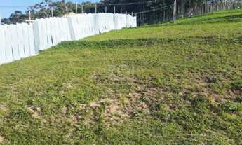 Imagem 2: Terreno em Condominio em Vila Nova