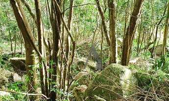 Imagem 6: Terreno à venda, 25426 m² por R$ 1.500.000,00 - Macacú - Garopaba/SC