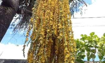 Imagem 3: Pousada Salinas Pá