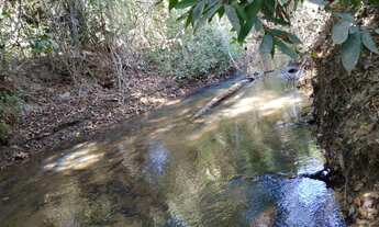 Imagem 4: Chacara de 2 alqueires formada com represa tanque de peixe riacho a 85 km de goiania