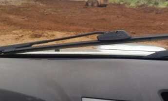 Imagem 4: Lote Setor Oeste Planaltina de G.O