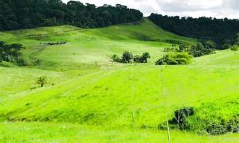 Imagem 5: FAZENDA EM MATRIZ DE CAMARAGIBE