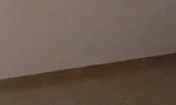 Imagem 6: Aluga-se borboleta