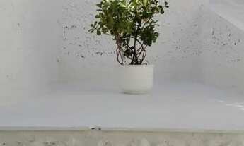 Imagem 2: CASA TÉRREA - LAPA - SP